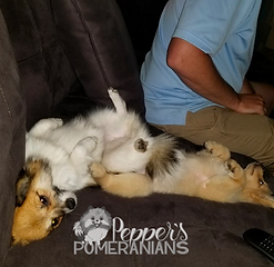 Pepper living her best life