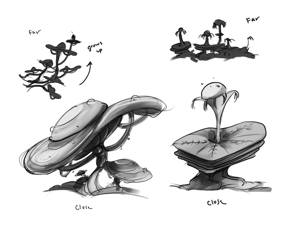 Mushrooms Value Study
