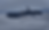 The Sentinel 1100 (1).png