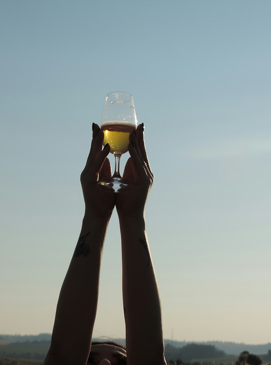 dna-cerveja-alem-do-copo-cerveja-artesanal-brasileira-chope-eventos