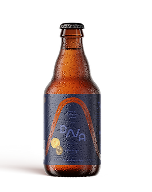 mockup-garrafa-darwin.png