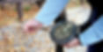 hoof testers can identify if there is pain in the hoof that causes lameness