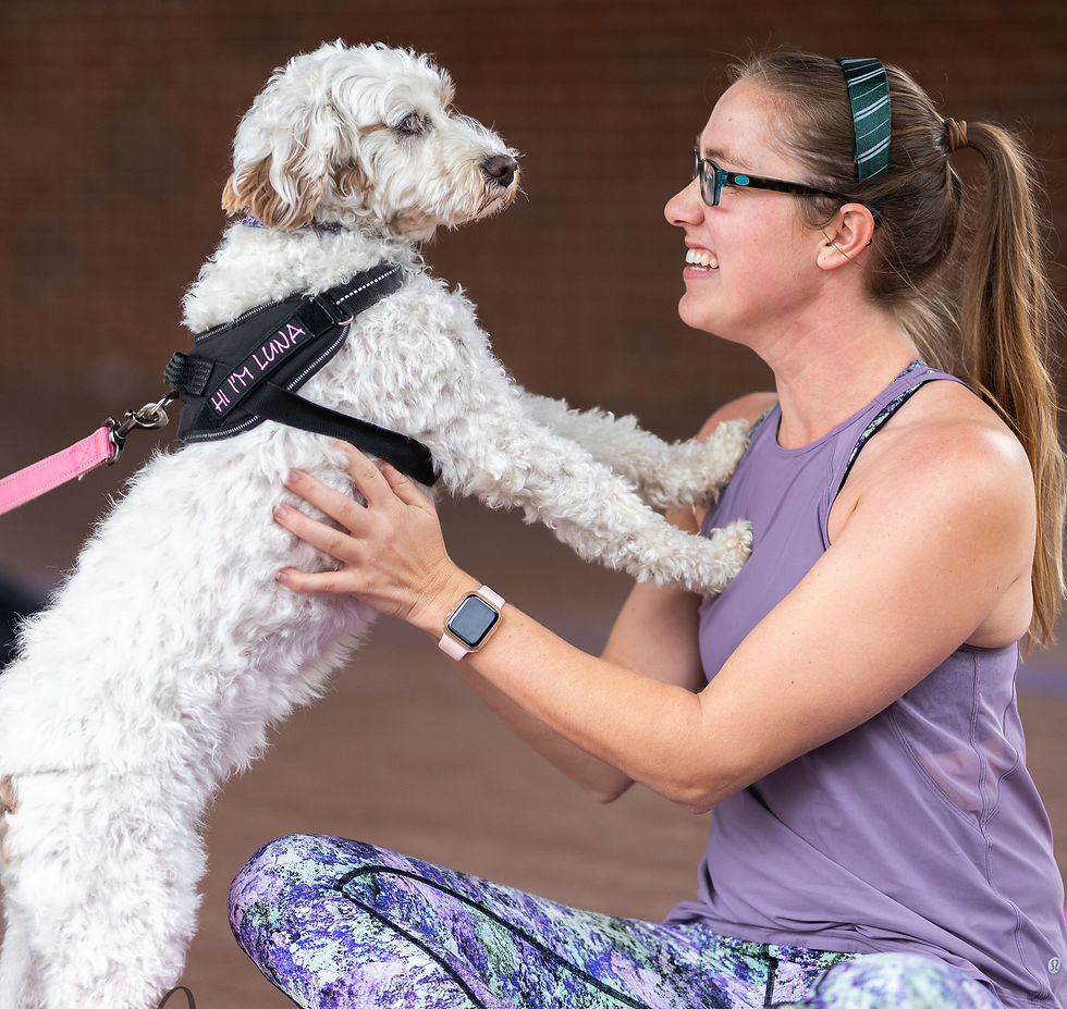 dog with human before bonding with acupressure points
