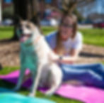 person doing acupressure on dog to boost connection and bonding