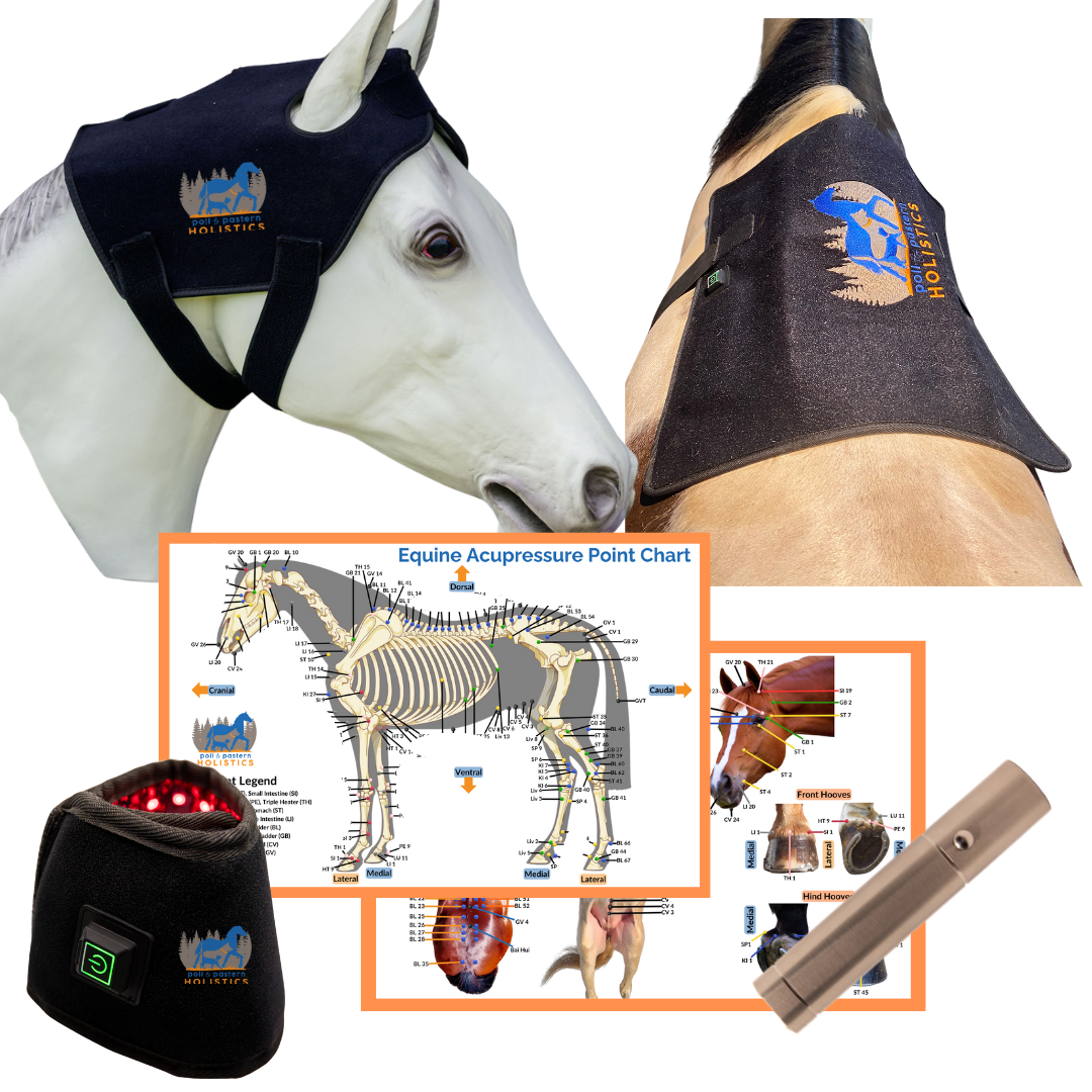 UltimateGlow Equine Bundle