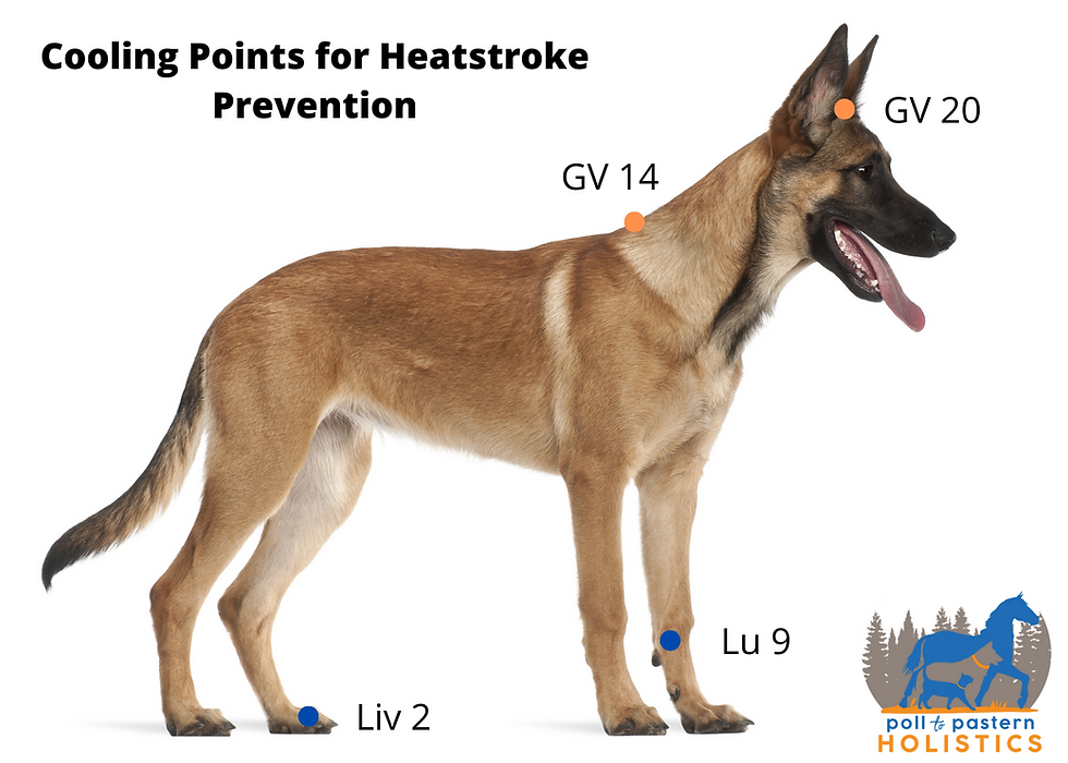 acupressure points shown on chart for preventing heatstroke