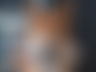 Understanding Resource Guarding in Dogs — and How Acupressure Can Support Calm Confidence