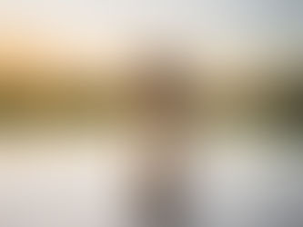 Anxious dog standing in water at sunset, illustrating fear and the Water Element in pets
