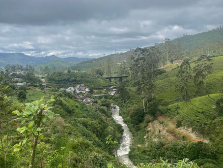 Sri Lanka à Noël : L'Équilibre Parfait entre Aventure Sauvage et Sérénité en Villa