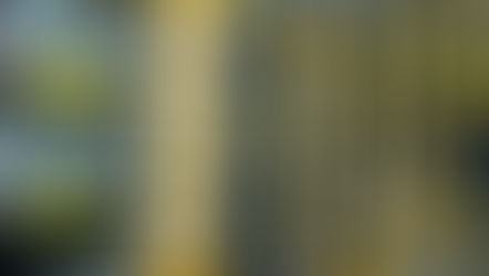 My Story - Telecom Tech to Human Resources Professional