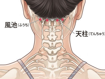 肩こりのツボ