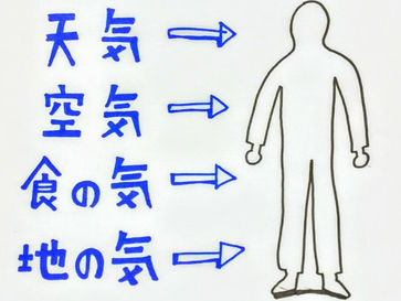 鍼灸は気の医学/鍼灸院/鍼灸ゆーせん/大阪府八尾市上尾町