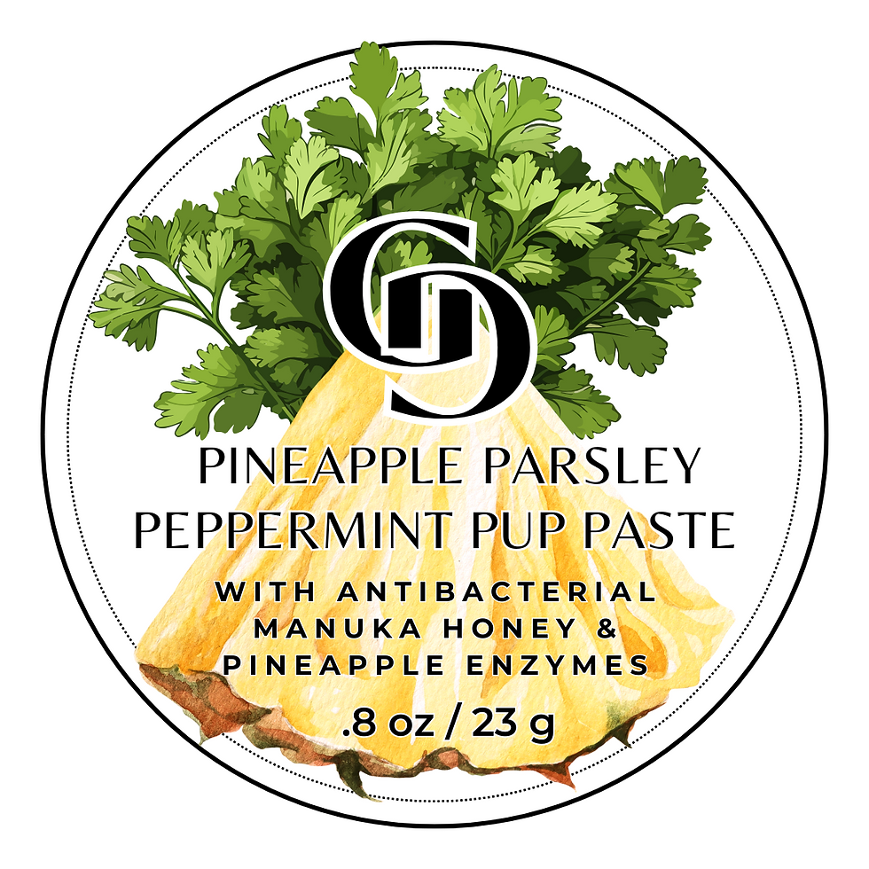 Pineapple Parsley Peppermint Pup Paste with antibacterial Manuka Honey & Pineapple Enzymes. .8 oz / 23 g