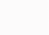 pattern-2.png