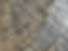 393912979_829499555597550_2175707364326115162_n.jpg