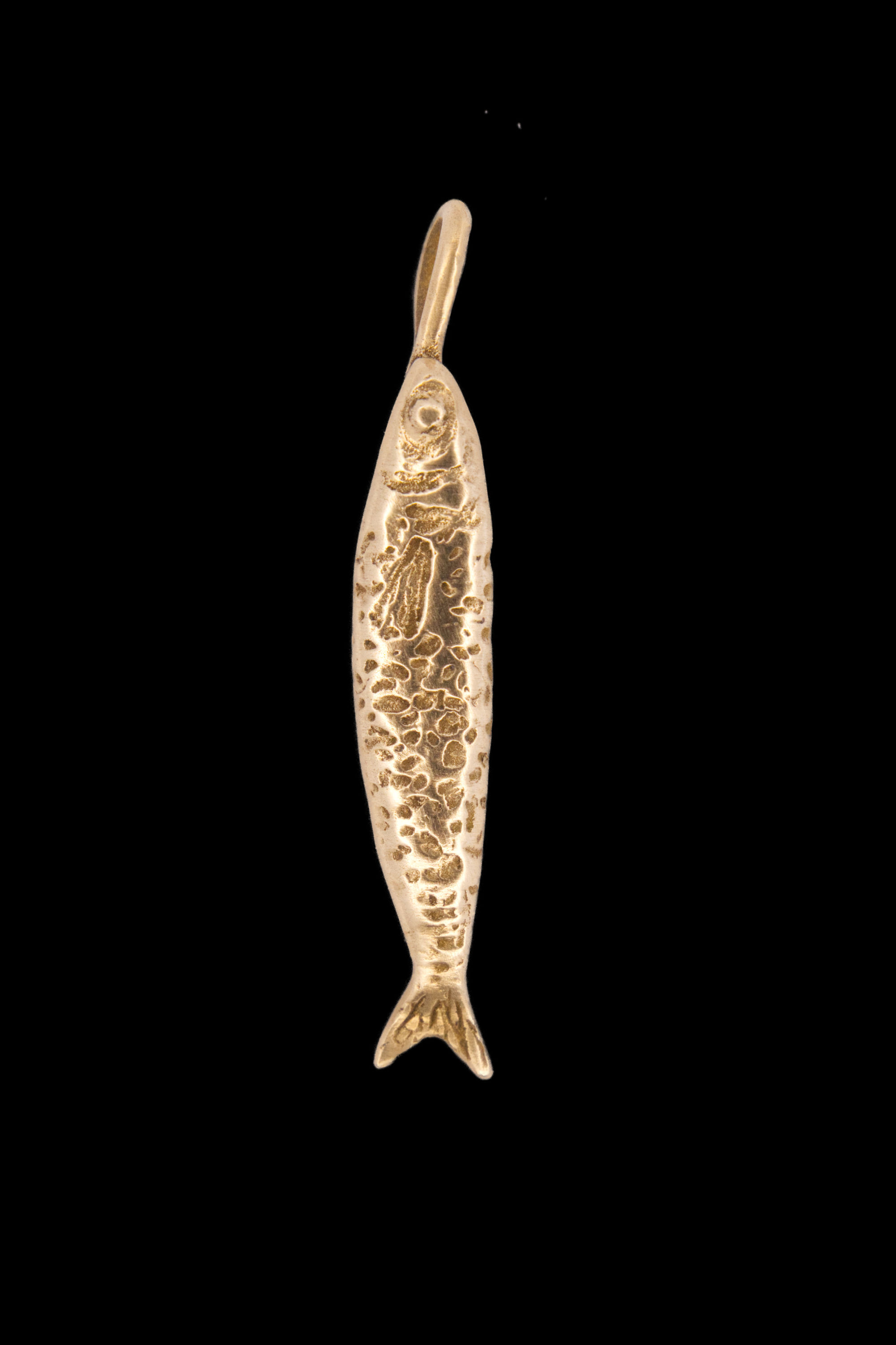 fishy charm