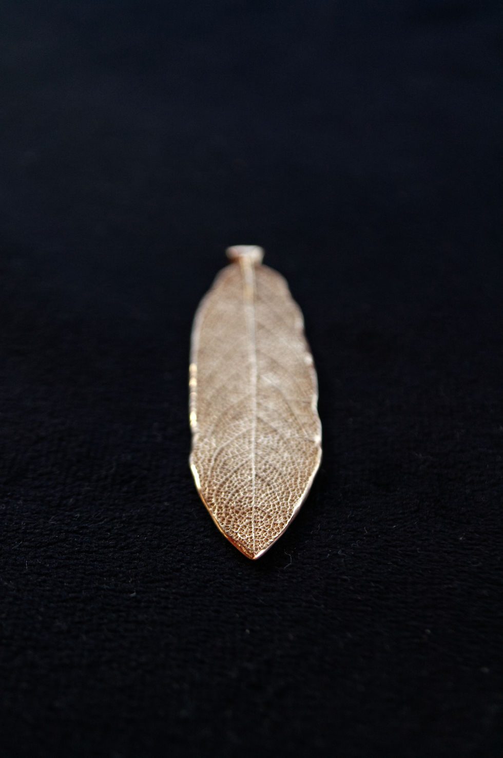 Sličica: sage pendant