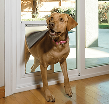 pet-door.png