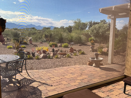 Why Choose Sunshield Products Retractable Shades? Benefits, Features, and User Advantages