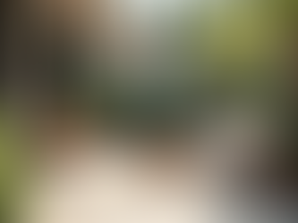 Custom Outdoor Enclosures for Stylish Outdoor Living