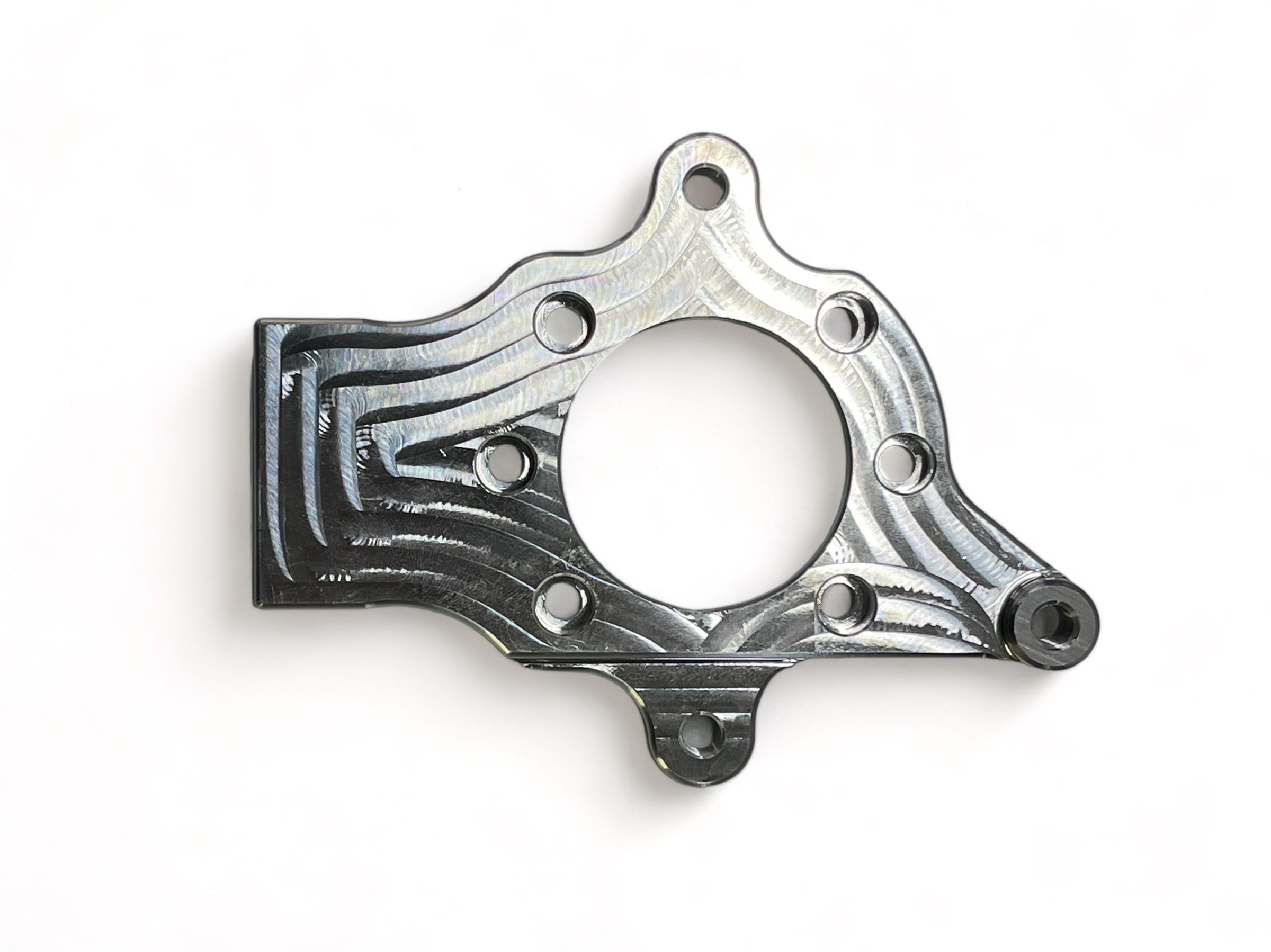 Left Rear Birdcage Plate