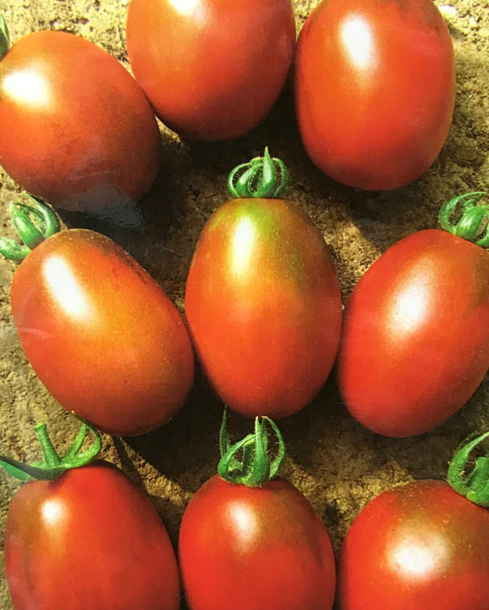 SC056 - Vegetable Seeds Chocolate Sprinkles tomato