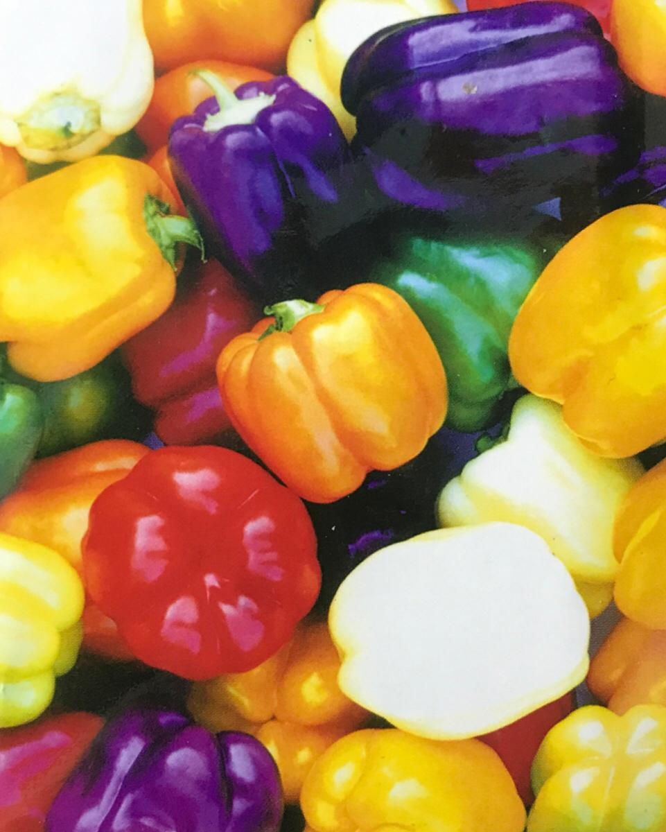 SC024 - Vegetable Seed   Sweet Pepper