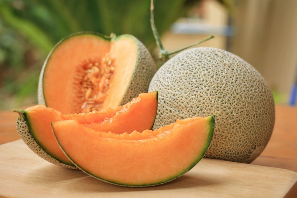 SB087- Vegetable Seed Muskmelon