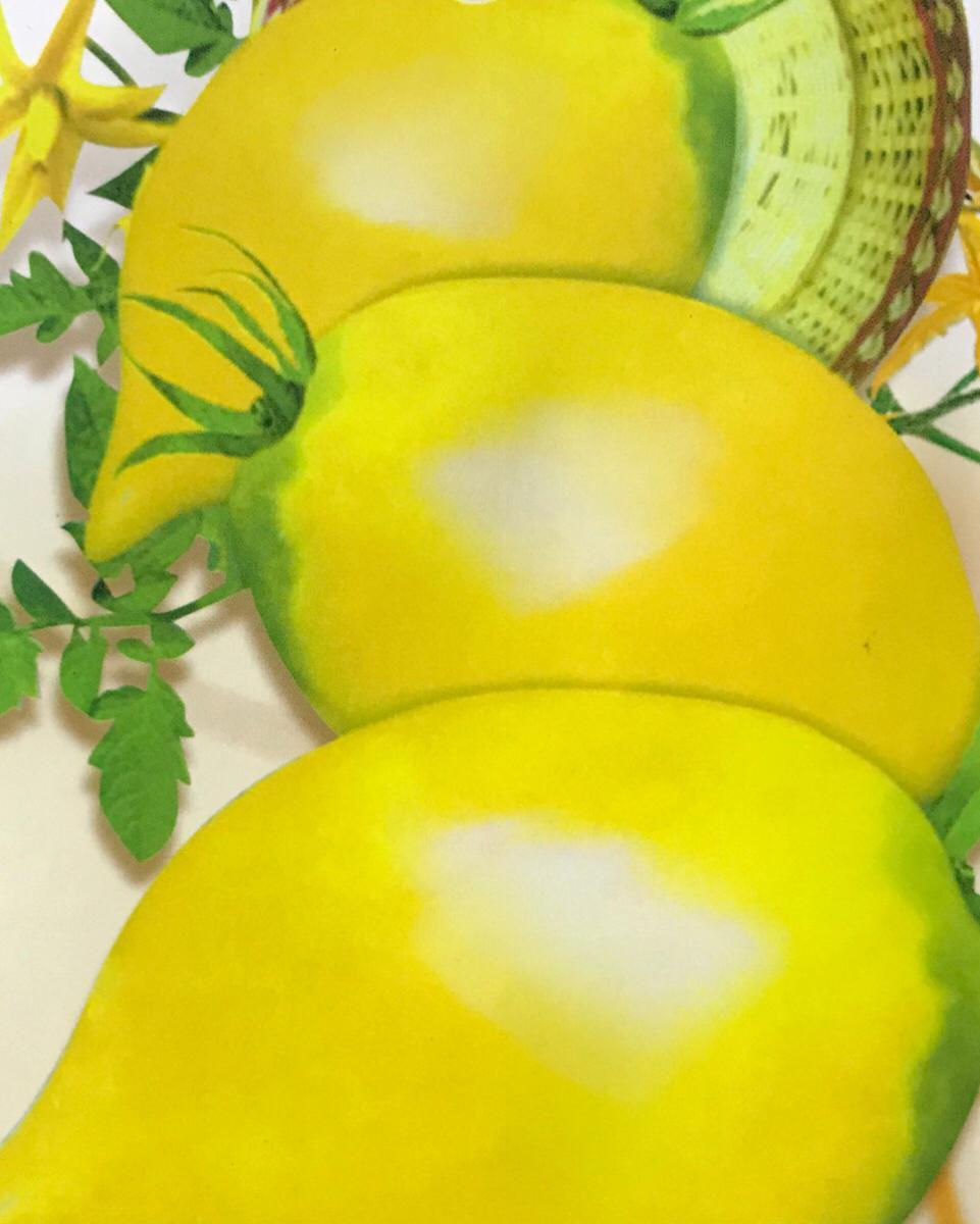 SC054 - Vegetable Seed  Tomato