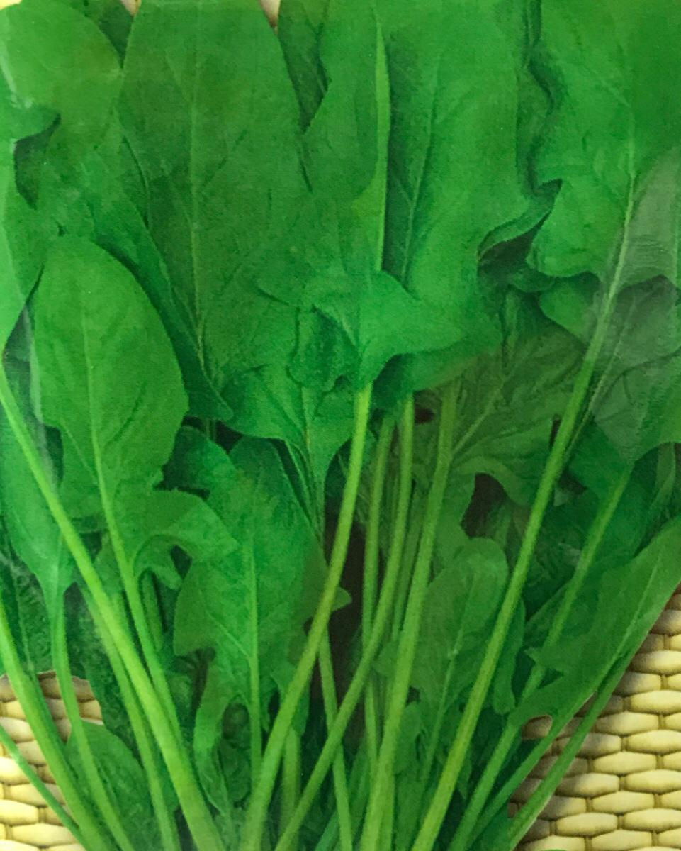 SC048 - Vegetable Seeds Spinach