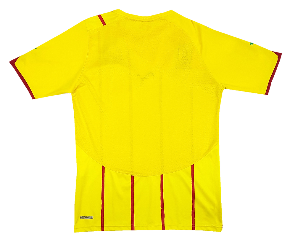 Miniatura: Camaroes 2010 Away 5/6