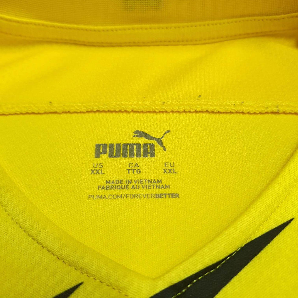Miniatura: Borussia Dortmund 2020 Home GGG