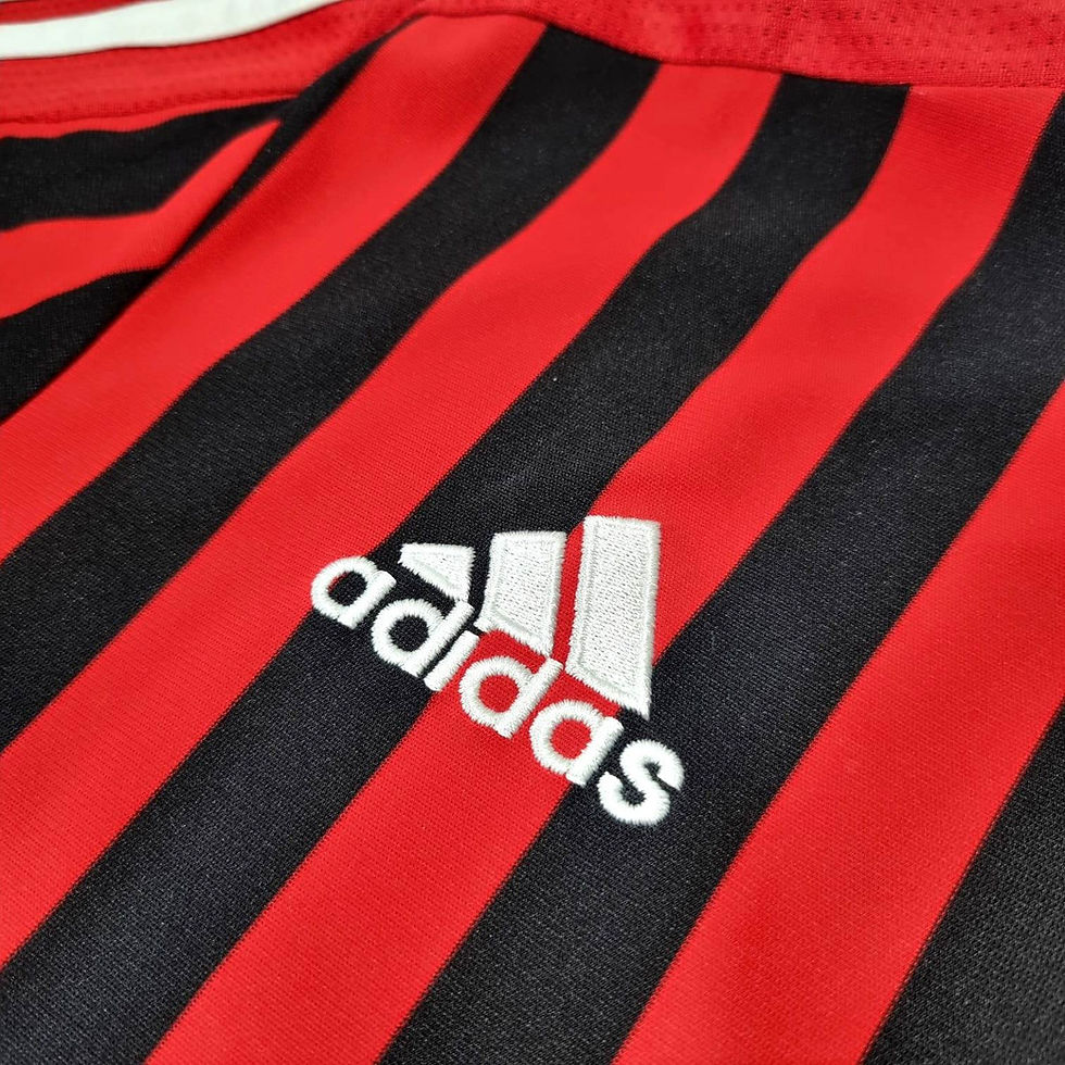 Miniatura: Milan 2011 Home