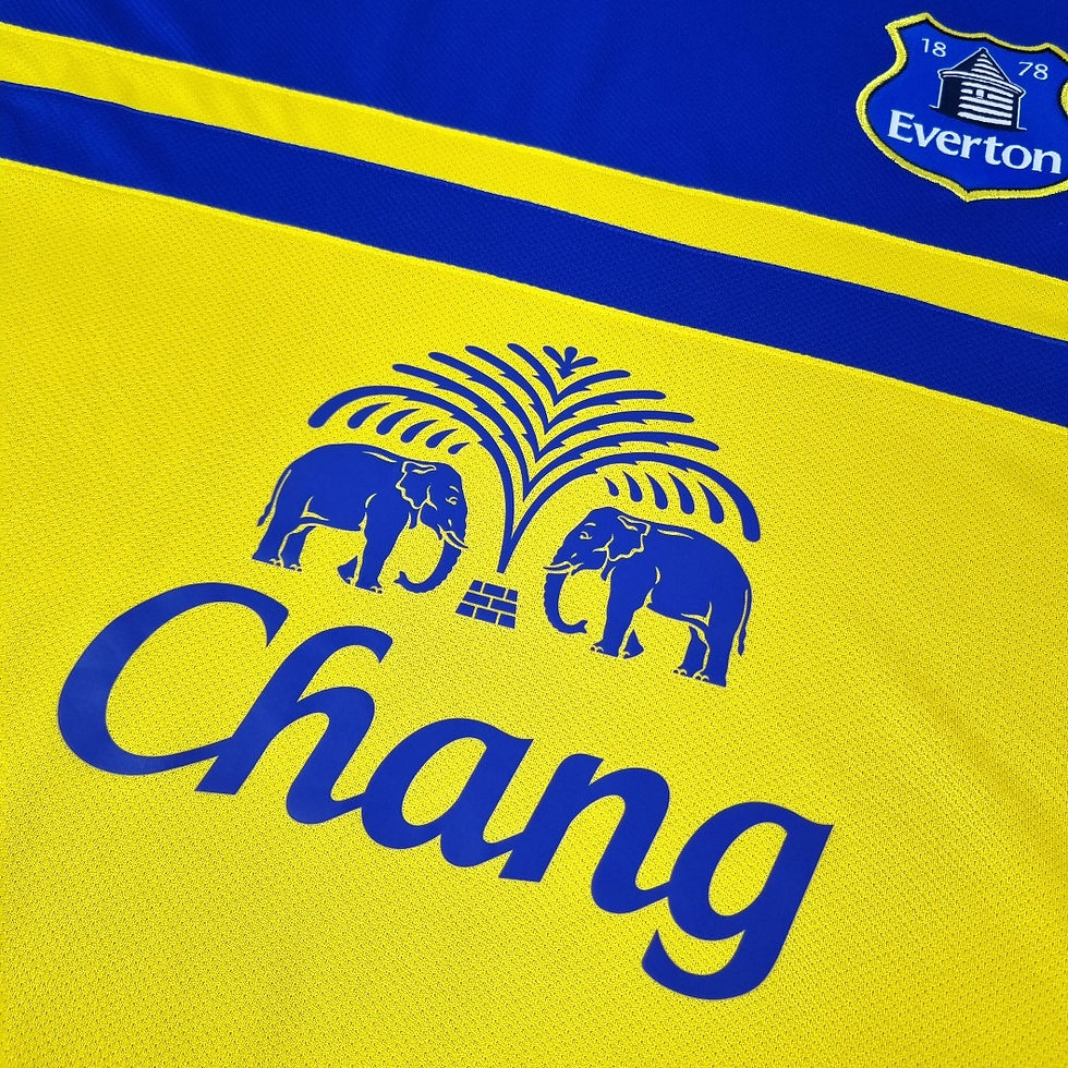 Miniatura: Everton 2013 Away