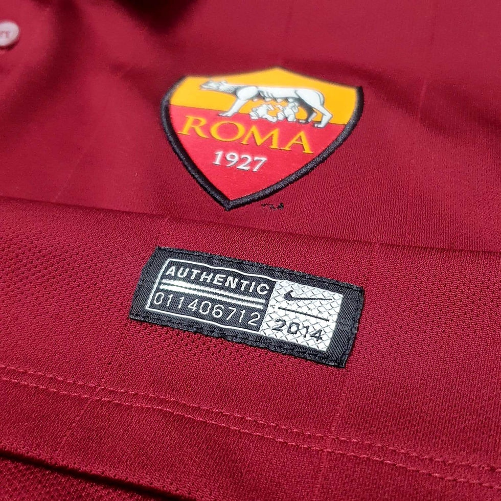 Miniatura: Roma 2014 Home