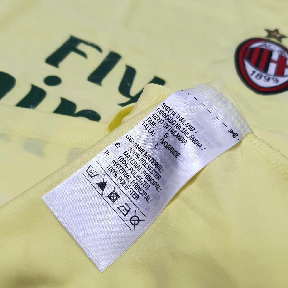 Miniatura: Milan 2014 Third G