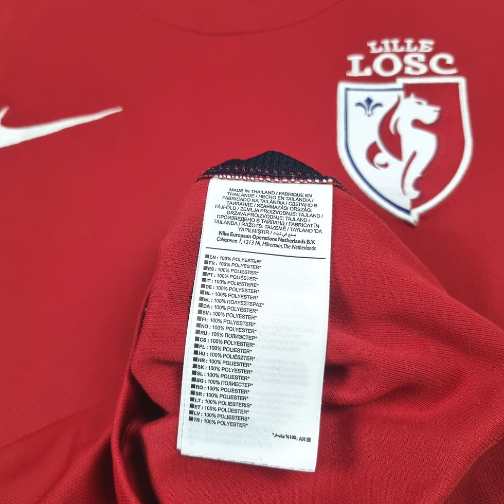 Miniatura: Lille 2015 Home