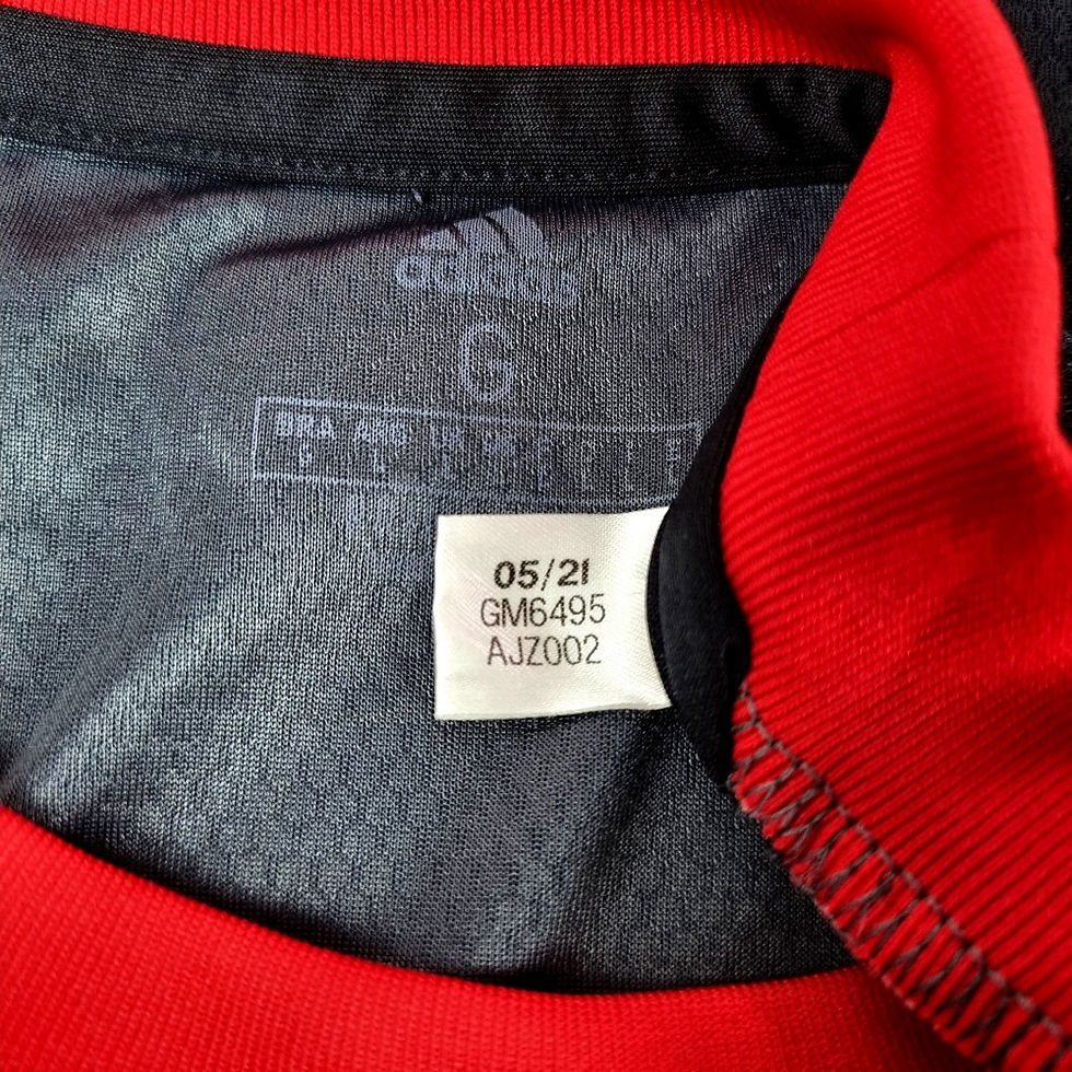 Miniatura: Flamengo 2021 Third