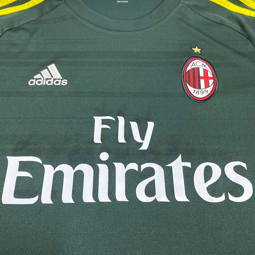 Miniatura: Milan 2015 Third