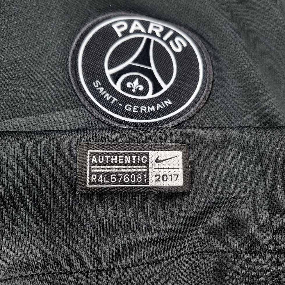 Miniatura: PSG 2017 Third P