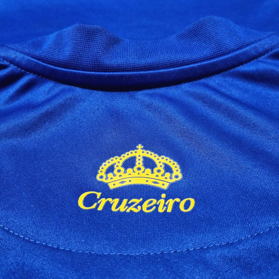 Miniatura: Cruzeiro 2014 Home