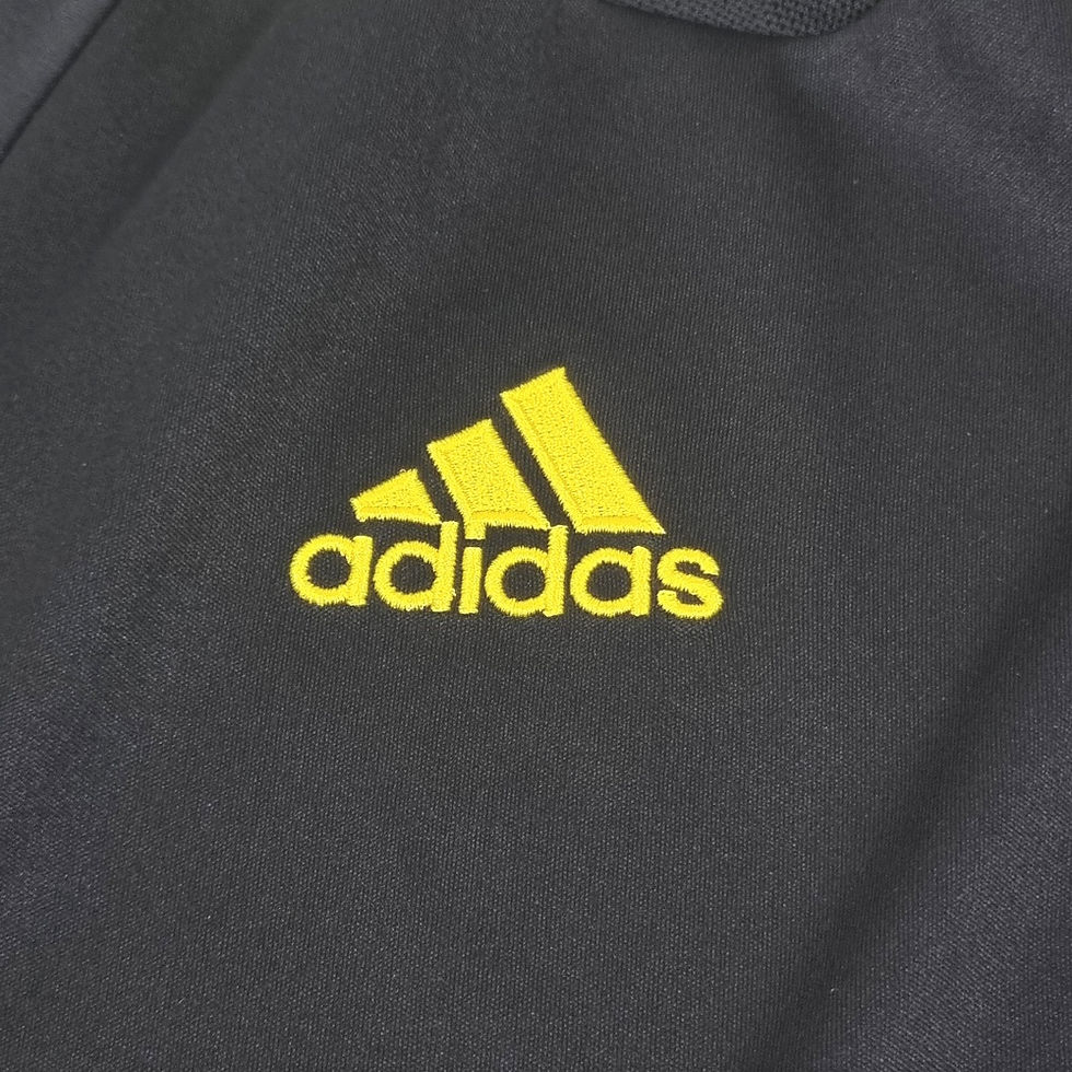 Miniatura: AIK Solna 2010 Home