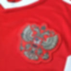 Miniatura: Russia 2018 Home M