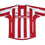 Miniatura: Stoke City 2007 Home