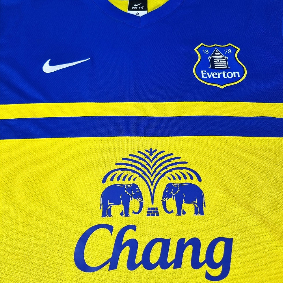 Miniatura: Everton 2013 Away