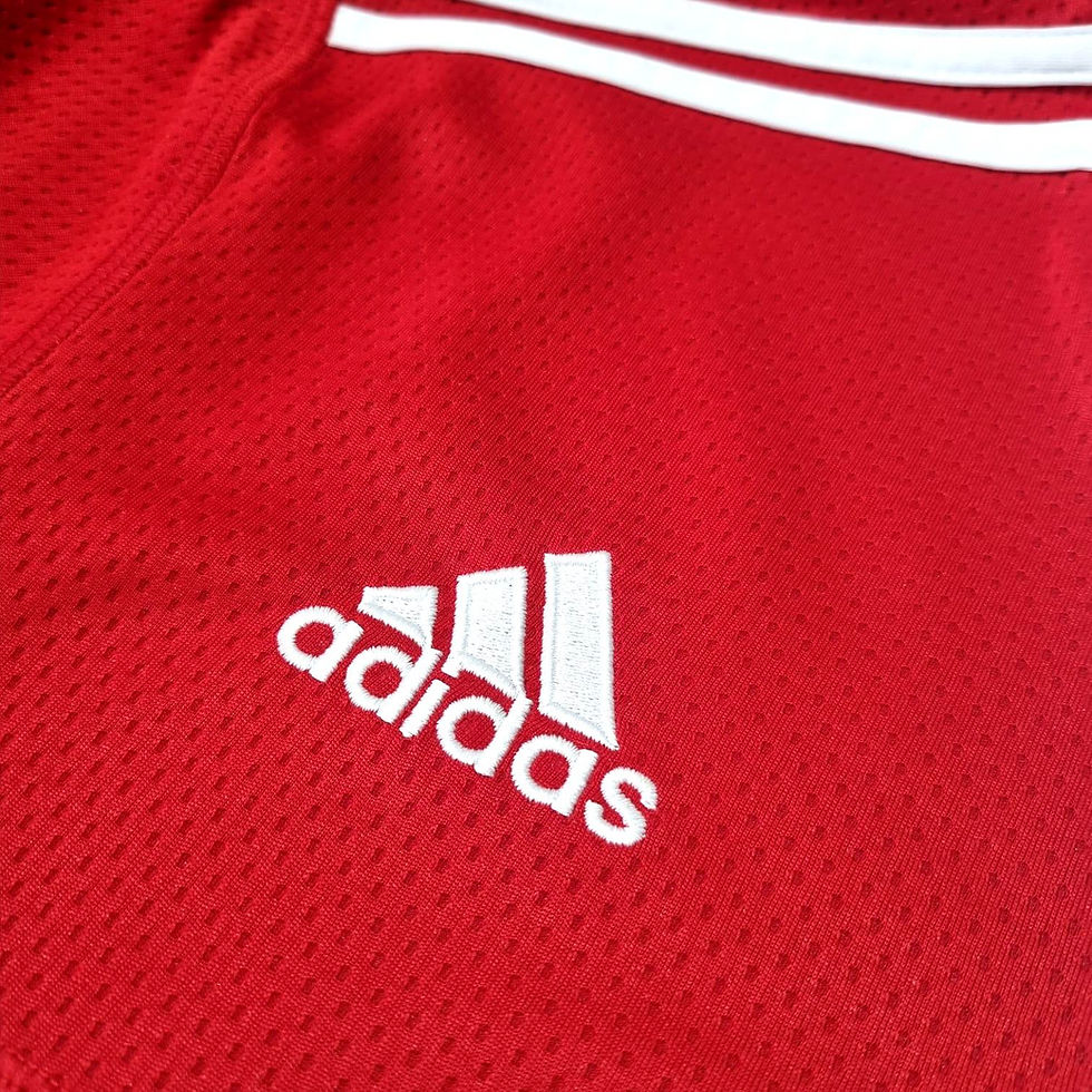 Miniatura: Bayern Munique 2009 Home