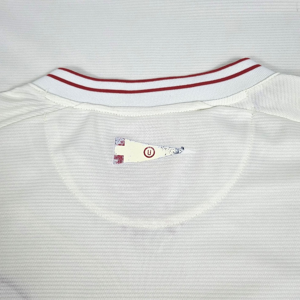 Miniatura: Universitario 2015 Home