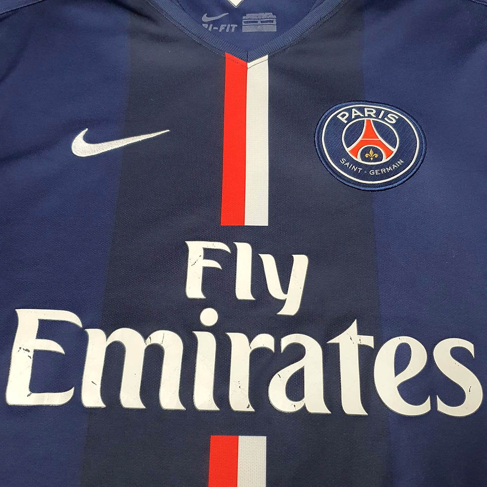 Miniatura: PSG 2014 Home G
