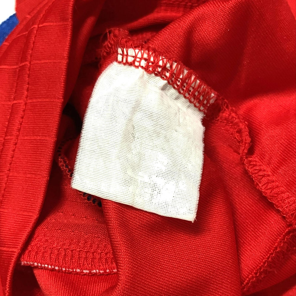 Miniatura: Chile 2007 Home GG