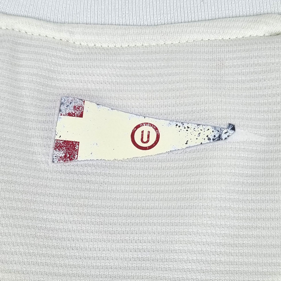 Miniatura: Universitario 2015 Home
